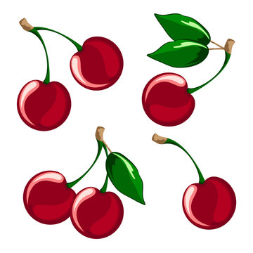 Vector illustration of ripe cherries on a white background. Berries cherries with stems and green leaves.