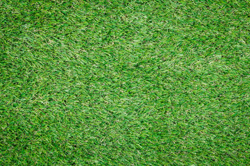 Fototapeta premium Background texture with fake grass.