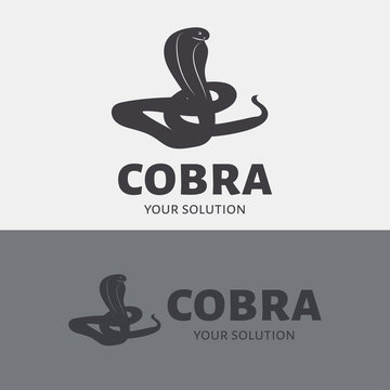 Vector logo Cobra. Brand logo in the shape of a Cobra