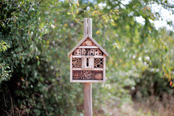Home for Insects