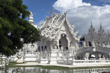 Tree and White Temple, Chiang Rai Thailand