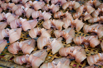 Dry Striped snakehead fish.