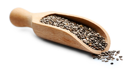 Chia seeds in scoop on white background