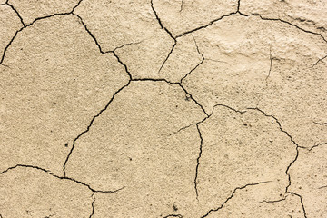 details of a dried cracked seabed