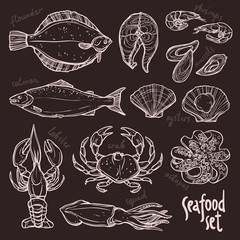 Sketch seafood collection, hand drawn illustration with lobster, squid, salmon, flounder, crab, octopus, mussels, oysters and shrimps on blackboard
