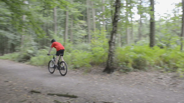 Cyclist Riding Mountain Bike on a Forest Track
