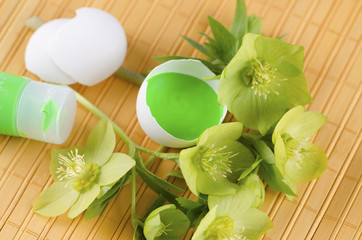 Easter decoration with hellebore and green tempera paint in an egg shell