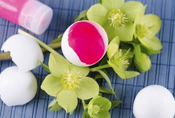 Happy Easter decoration with hellebore and red tempera paint in an egg shell