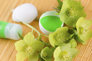 Easter decoration with hellebore and green tempera paint in an egg shell