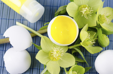 Happy Easter decoration with hellebore and yellow tempera paint in an egg shell on a blue pad 