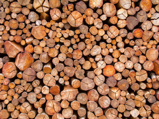 Fire wood texture - pattern