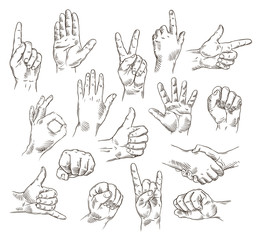 Fototapeta premium Vector set of hands and gestures - outline illustration