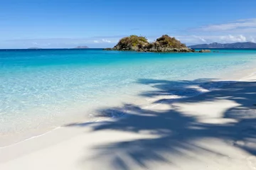 Fototapete Rund view of trunk bay, US Virgin Islands © Wollwerth Imagery