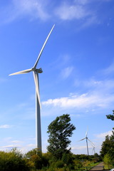 Fototapeta na wymiar 風力発電の風景