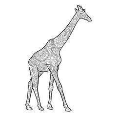 Giraffe coloring book for adults vector