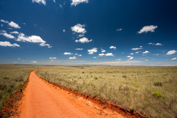 Rural orange dirt road with blue sky and far horizon © tacio philip