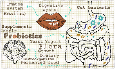 Illustration about Probiotics