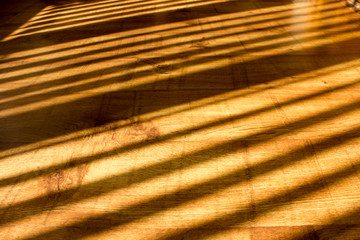 The texture of light wood in the sun
