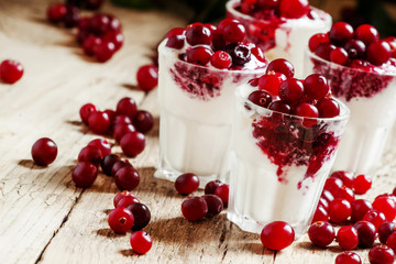 Ice cream with fresh cranberries and sweet sauce, selective focu