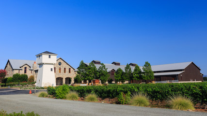 Napa Valley Vineyard