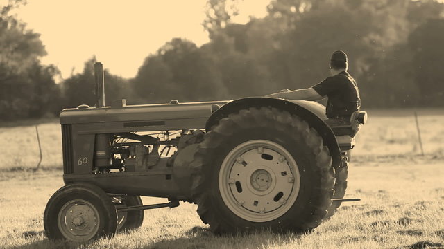 Farmer drives tractor in evening sun