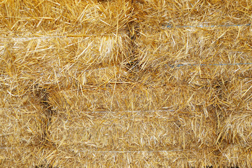 Hay briquette stack as animal food at animal farm as a backgroun
