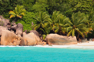 Obraz na płótnie Canvas Boulders and palm trees on beach. Anse Lazio, Praslin, Seychelles
