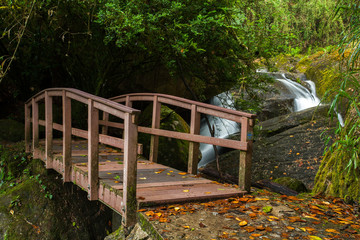 Small wood bridge in rain forest with waterfall in background