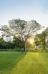 Fototapeta na wymiar sunset and view in public park