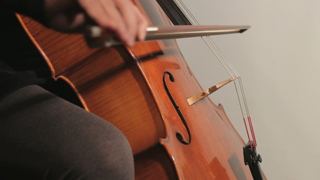 Cellist Playing Cello With a Bow
