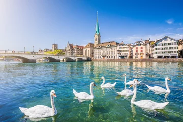 Fotobehang Het stadscentrum van Zürich met zwanen op de rivier de Limmat, Zwitserland © JFL Photography