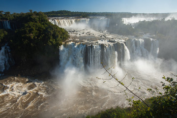 Fototapeta premium Iguazu falls national park
