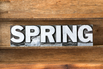 spring word tray