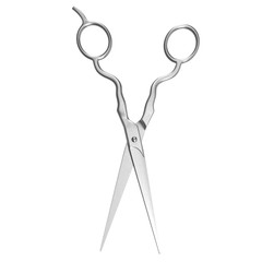 Professional Haircutting Scissors on white