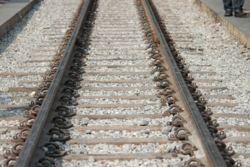 Fototapeta premium Railroad