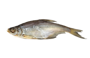 Fototapeta premium One dried fish on a white background