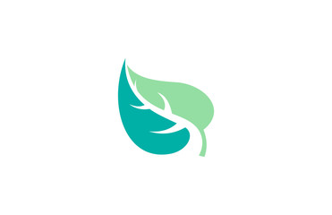 Fototapeta na wymiar green leaf eco logo