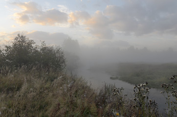 Fototapeta premium Autumn landscape