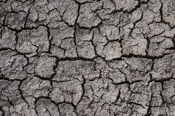 Desert, environment erosion problem