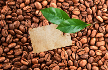 Close-up of coffee beans background, leaves and blank tag