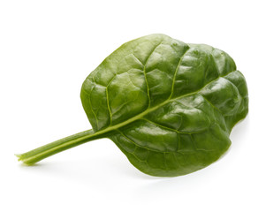Baby spinach leaves isolated on white background cutout