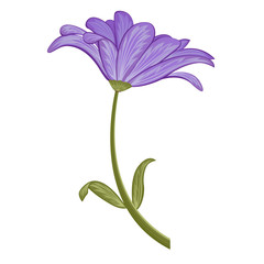 Purple flower