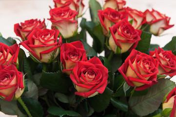 Beautiful red roses on a dark wooden table