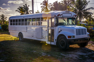 Adventure bus in tropical garden
