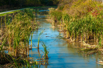 Weedy canal