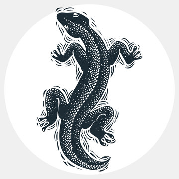 Vector drawn lizard silhouette, nature graphic symbol. Reptile 