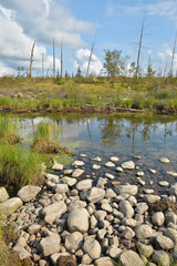 Dry cobbles on the banks of pond