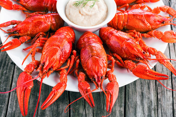 Boiled red crayfish with horseradish cream, close-up