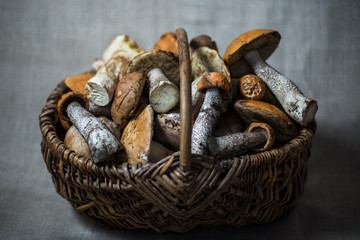 wild mushrooms in the basket
