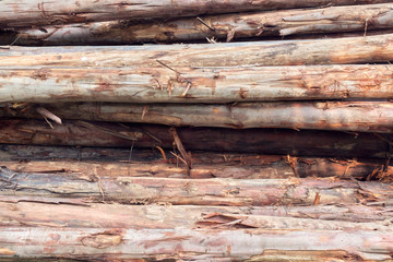 Timber / Close up heap of timber for recycle in the public park.